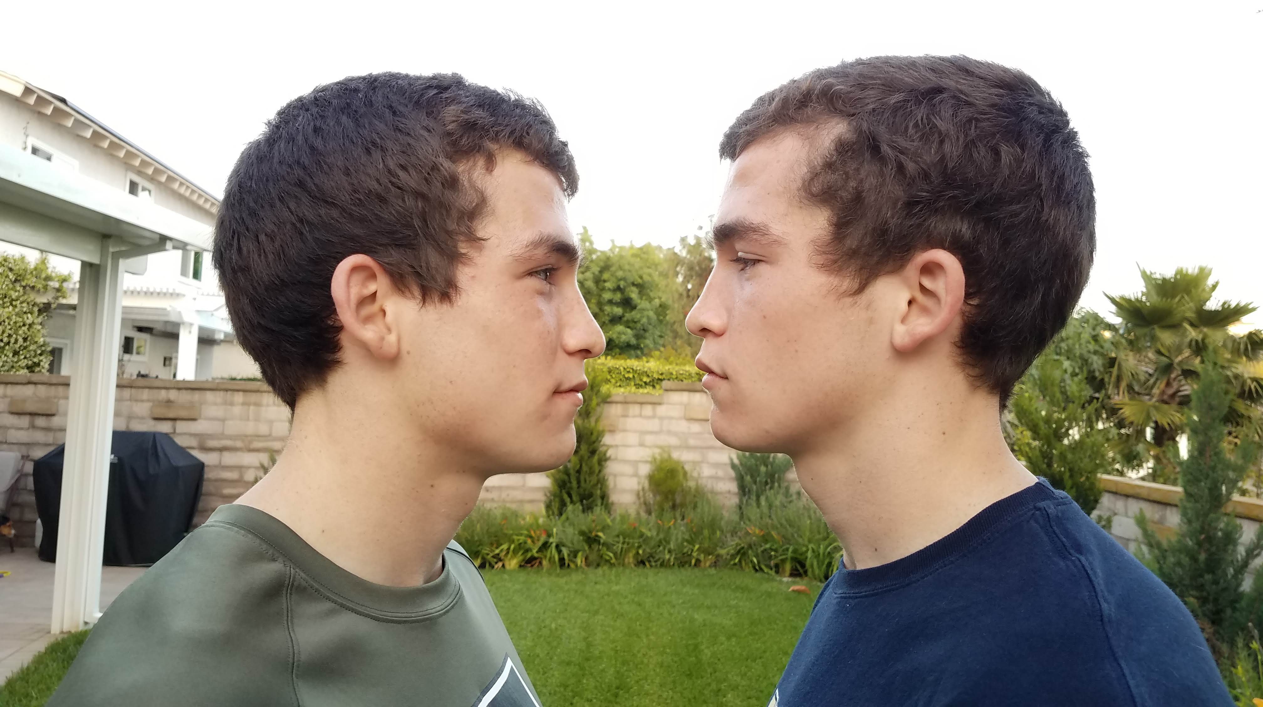 Sibling Rivalries – The Lowedown